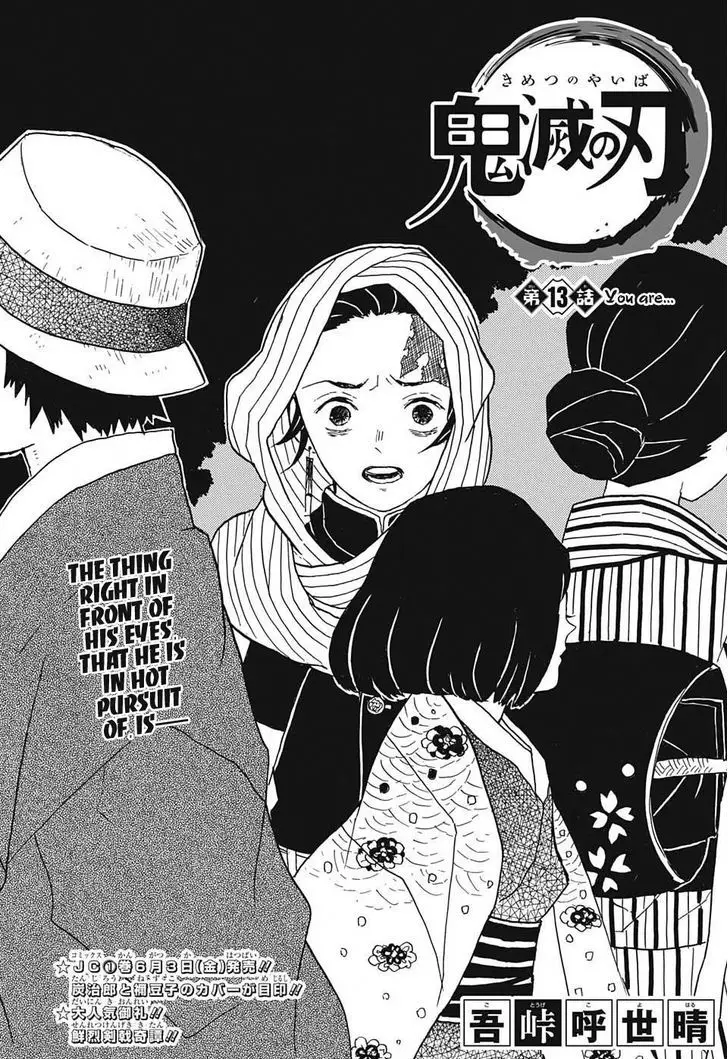 Chapter 13