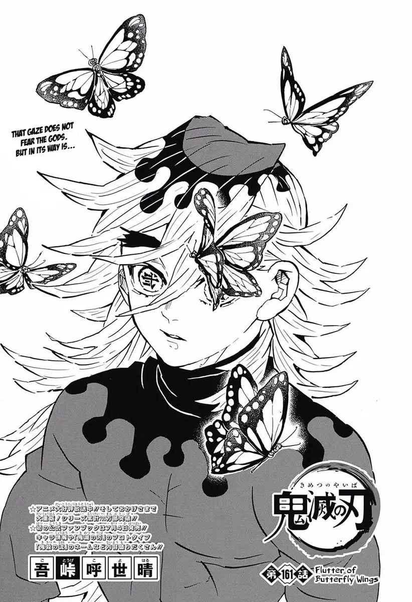 Chapter 161